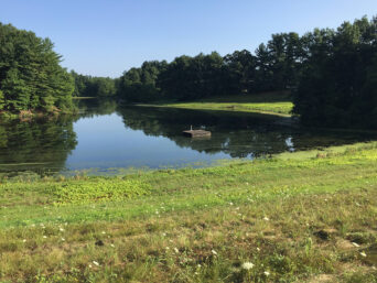 Arm Brook Multipurpose Dam Planning