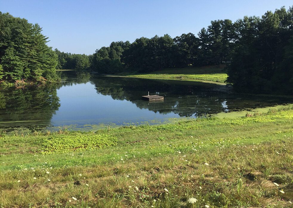 Arm Brook Multipurpose Dam Planning