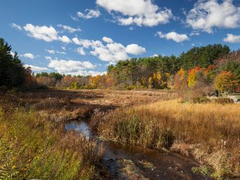 Bartlett Pond Dam Removal