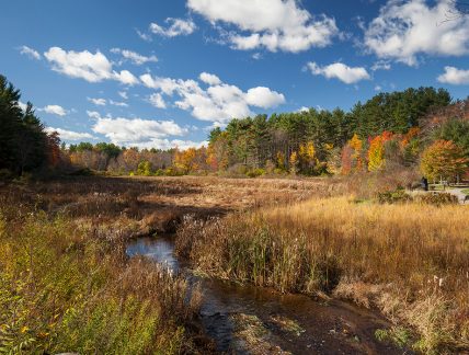 Bartlett Pond Dam Removal