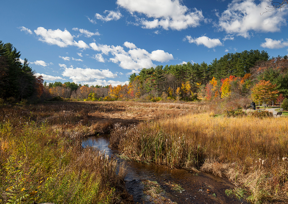 Bartlett Pond Dam Removal