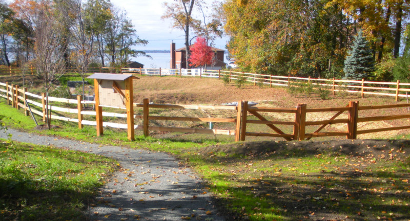 Bristol Beach Wetland