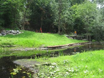 Curtis Pond Dam Removal