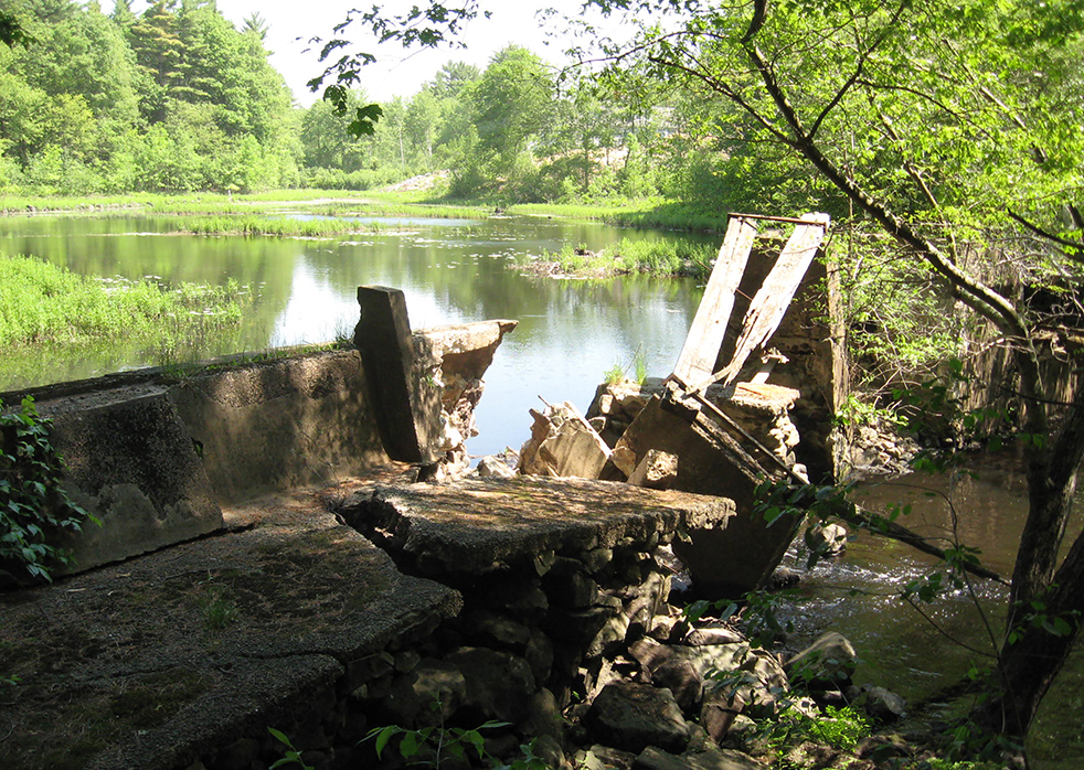 Curtis Pond Dam Removal