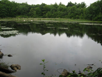 Del Carte Open Space Conservation Area Restoration