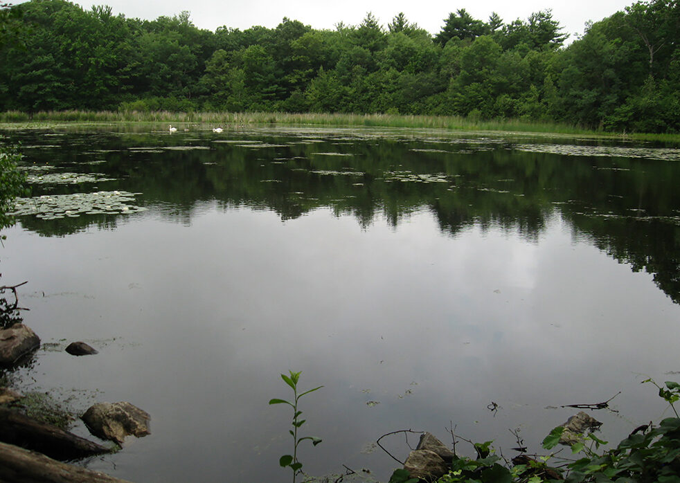 Del Carte Open Space Conservation Area Restoration