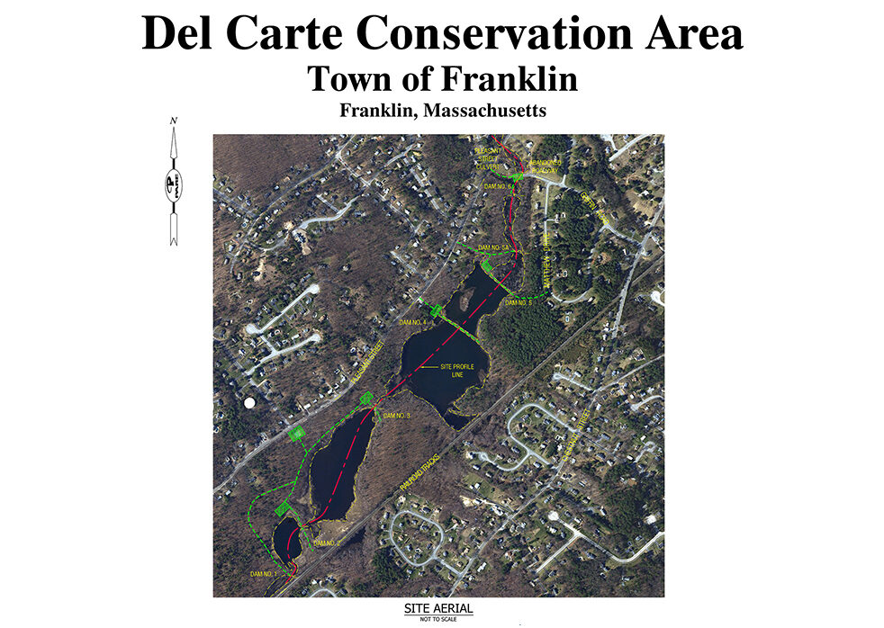 Del Carte Open Space Conservation Area Restoration