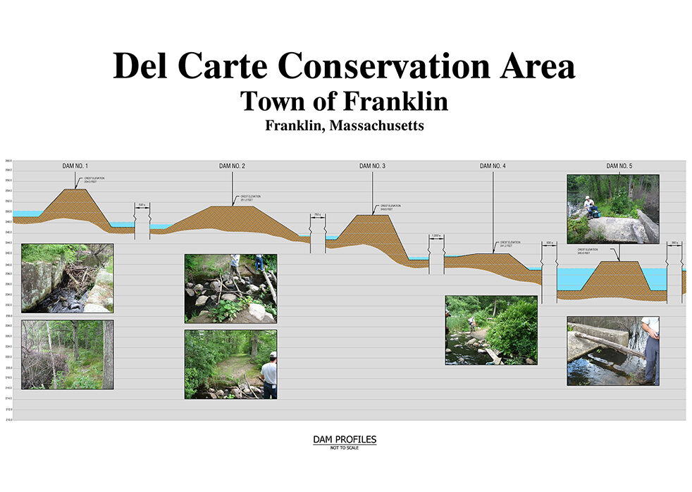 Del Carte Open Space Conservation Area Restoration