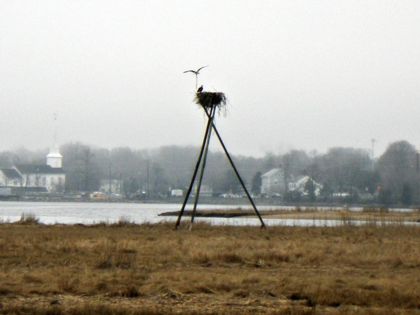 Entry #3 Settling Down in the Suburbs