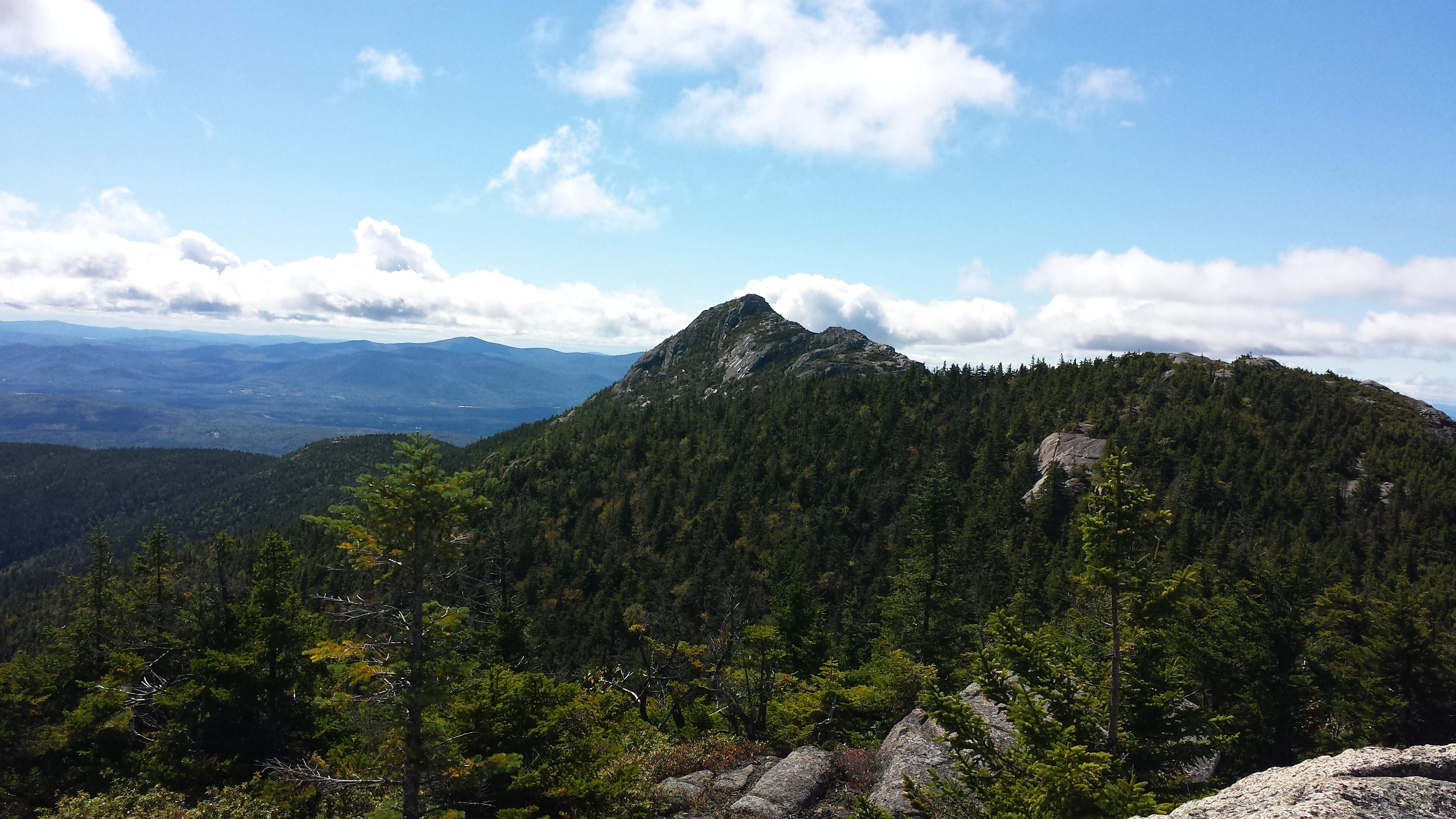 Entry #5 Piece of Nature