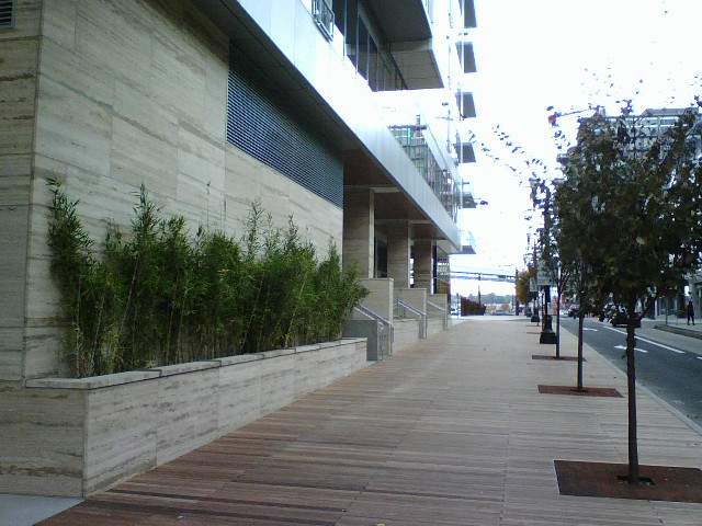 No. 10  A Walk on Wood