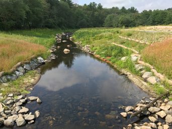 Old Mill Pond Dam Removal