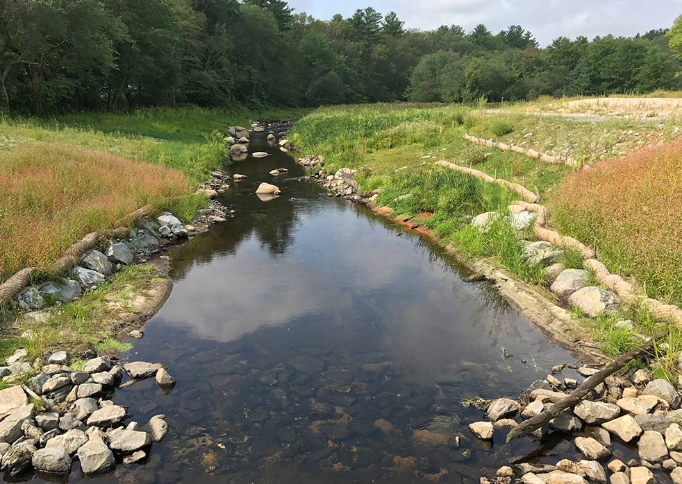 Old Mill Pond Dam Removal