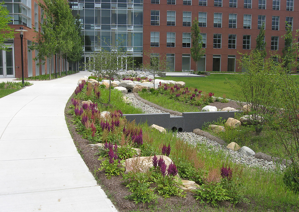 URI Center for Biotechnology & Life Sciences